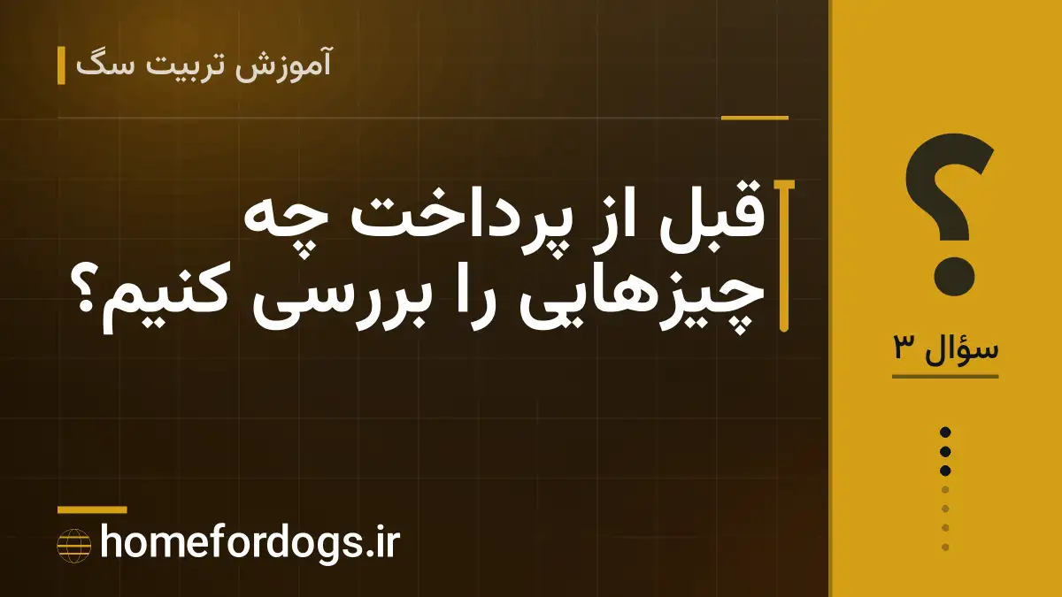 قبل از پرداخت چه چیزهایی را بررسی کنیم؟