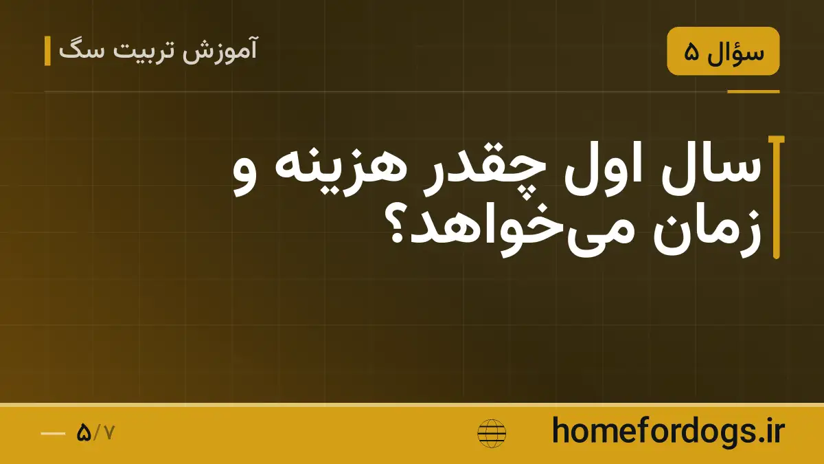 سال اول چقدر هزینه و زمان میخواهد؟