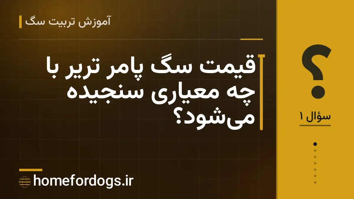 قیمت سگ پامر تریر با چه معیاری سنجیده می‌شود؟