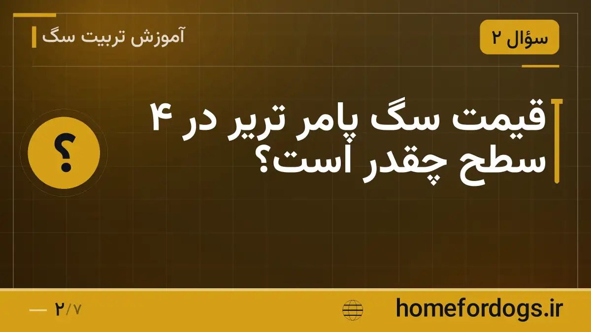 قیمت سگ پامر تریر در ۴ سطح چقدر است؟
