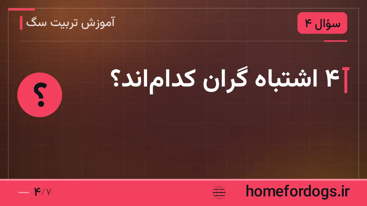 ۴ اشتباه گران کدام‌اند؟