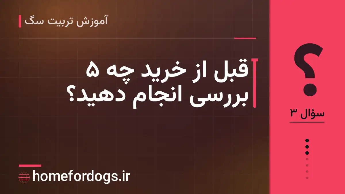 قبل از خرید چه ۵ بررسی انجام دهید؟