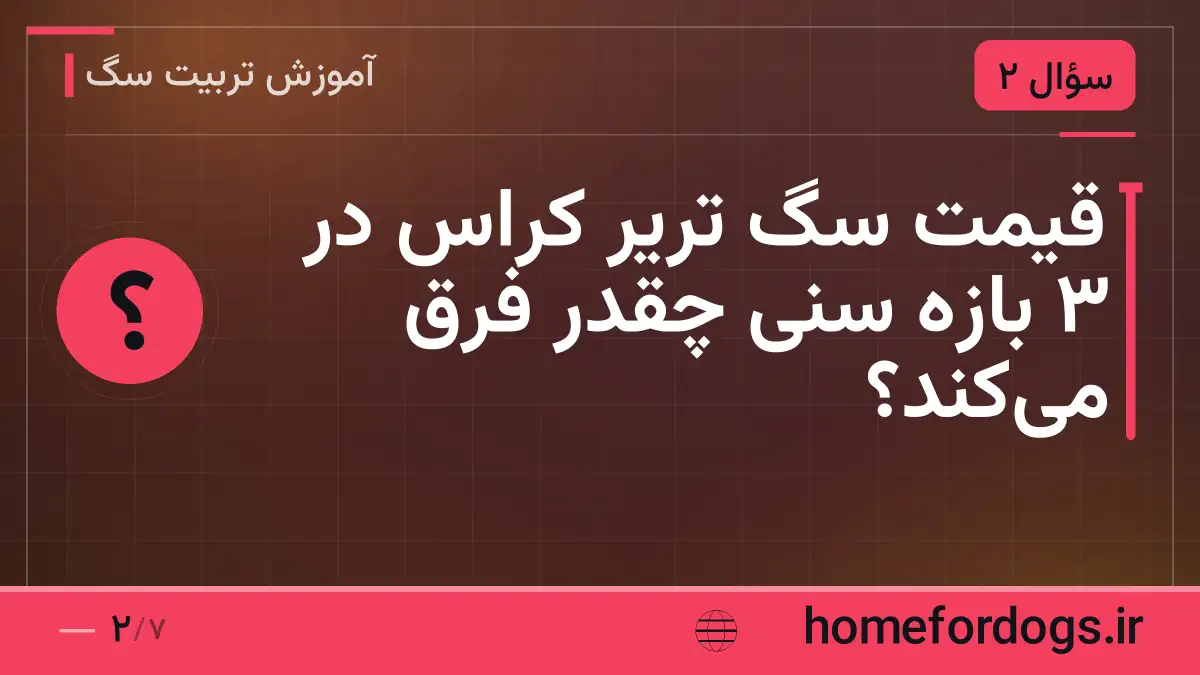 قیمت سگ تریر کراس در ۳ بازه سنی چقدر فرق می‌کند؟