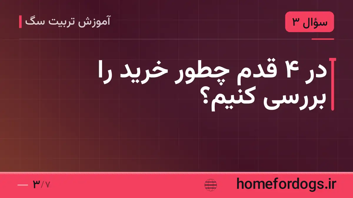 در ۴ قدم چطور خرید را بررسی کنیم؟