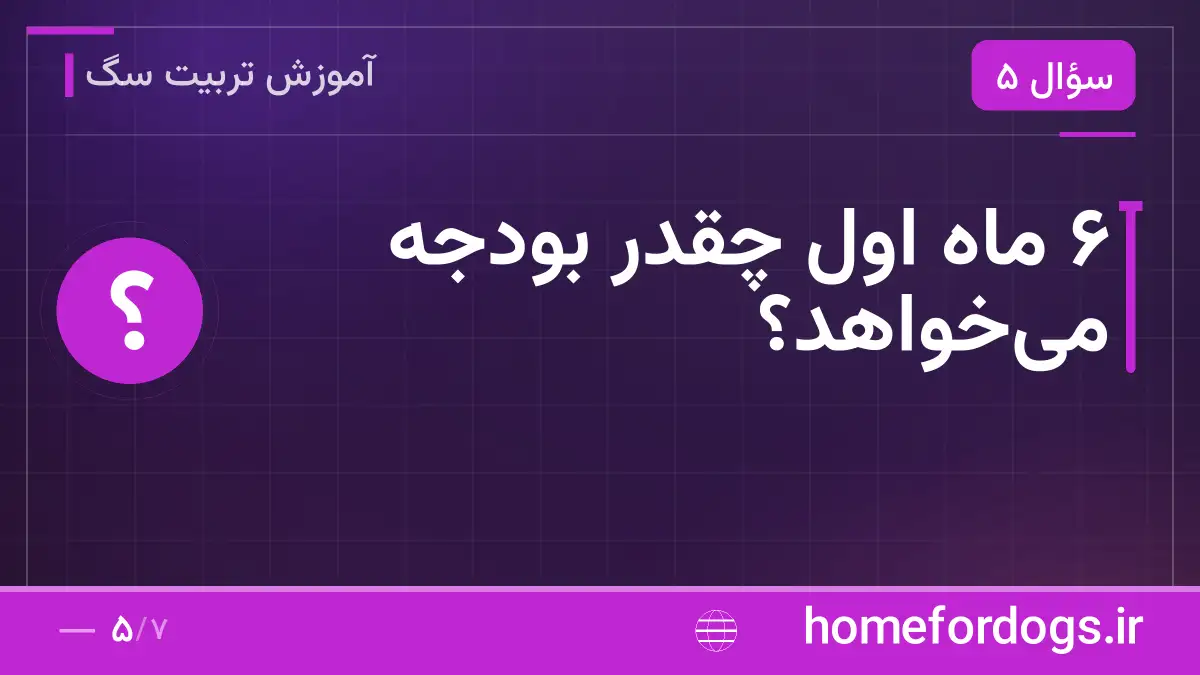 ۶ ماه اول چقدر بودجه می‌خواهد؟