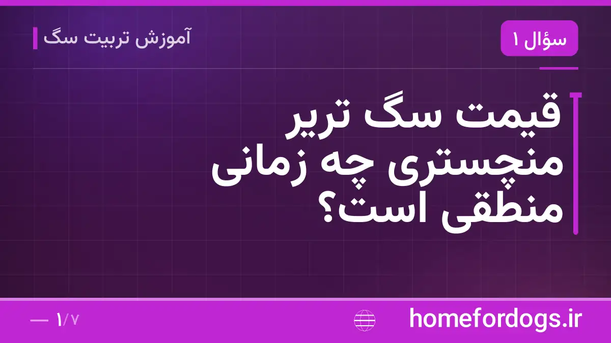 قیمت سگ تریر منچستری چه زمانی منطقی است؟