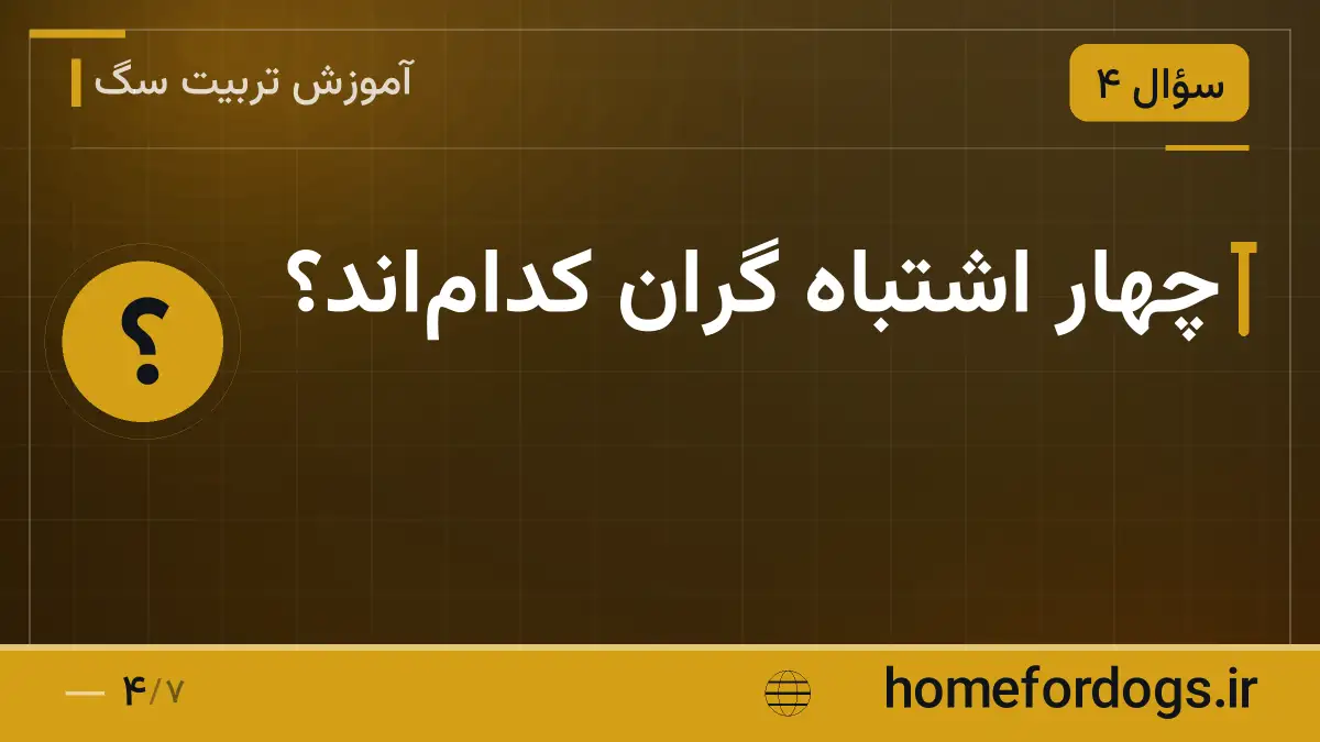 چهار اشتباه گران کداماند؟
