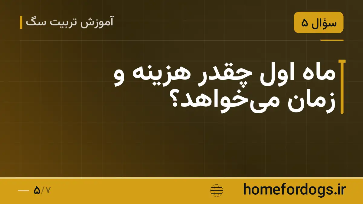 ماه اول چقدر هزینه و زمان میخواهد؟