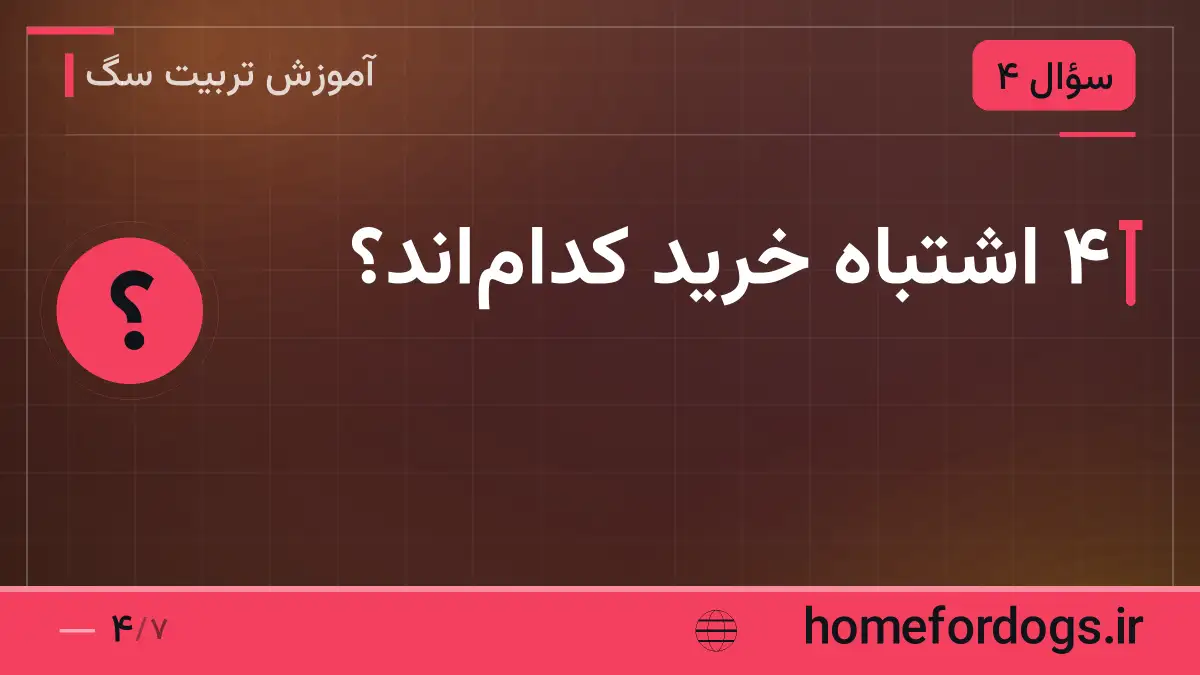 ۴ اشتباه خرید کدام‌اند؟