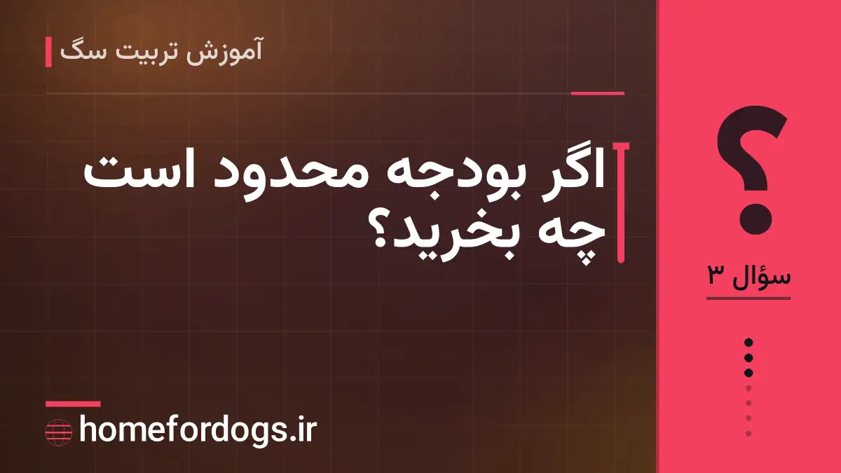 اگر بودجه محدود است چه بخرید؟