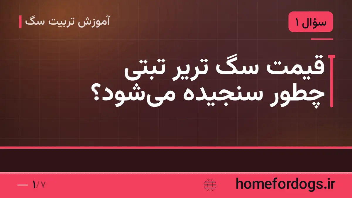 قیمت سگ تریر تبتی چطور سنجیده می‌شود؟