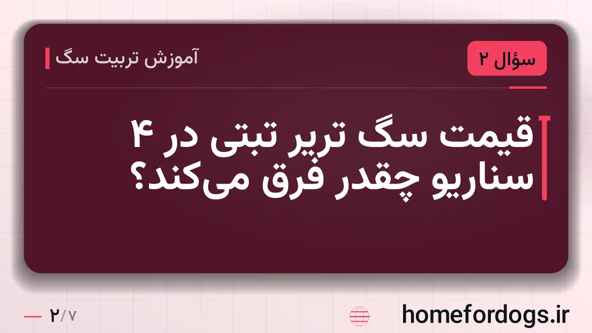 قیمت سگ تریر تبتی در ۴ سناریو چقدر فرق می‌کند؟