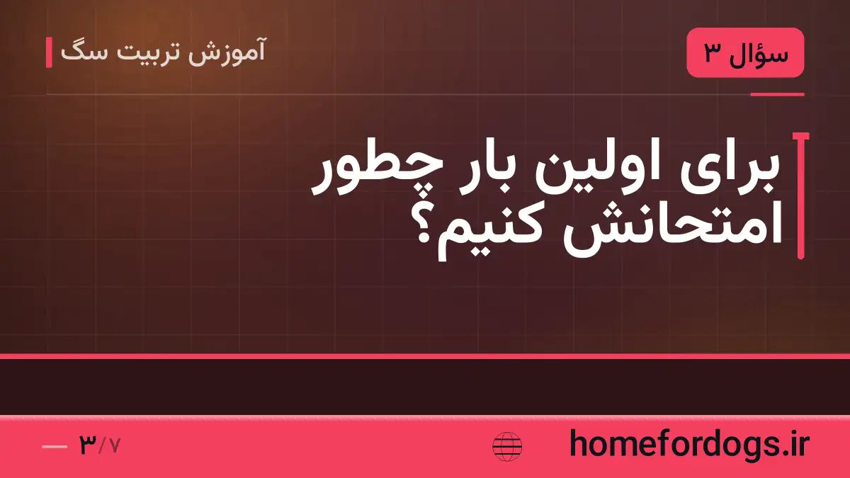 برای اولین بار چطور امتحانش کنیم؟
