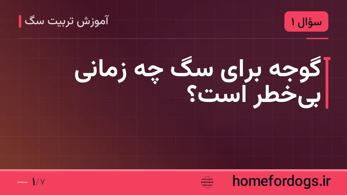 گوجه برای سگ چه زمانی بی‌خطر است؟
