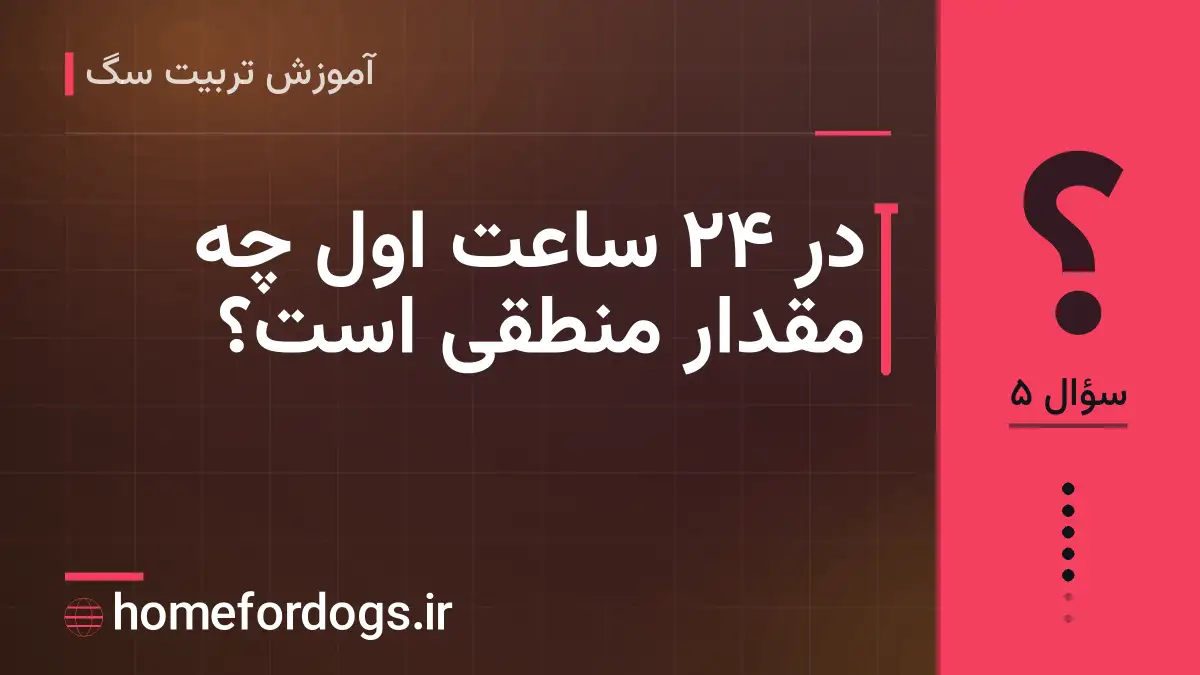 در ۲۴ ساعت اول چه مقدار منطقی است؟