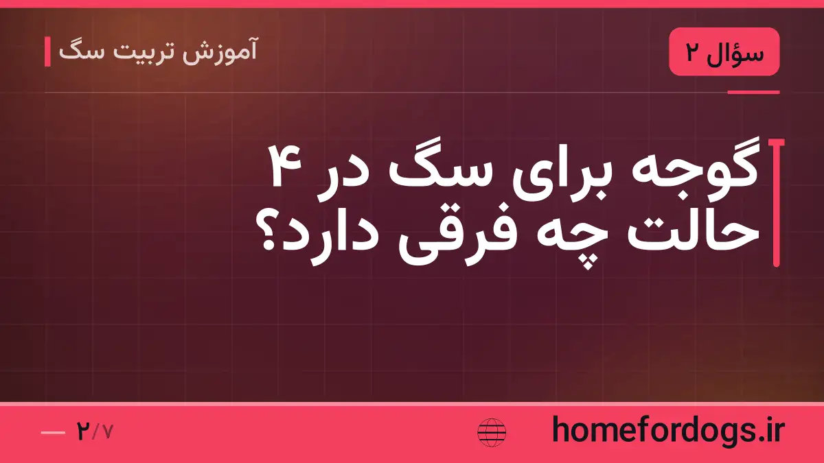 گوجه برای سگ در ۴ حالت چه فرقی دارد؟