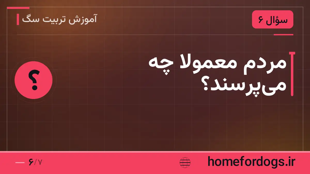 مردم معمولاً چه می‌پرسند؟
