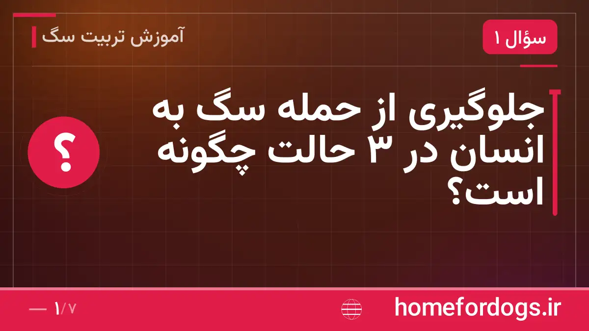 جلوگیری از حمله سگ به انسان در ۳ حالت چگونه است؟