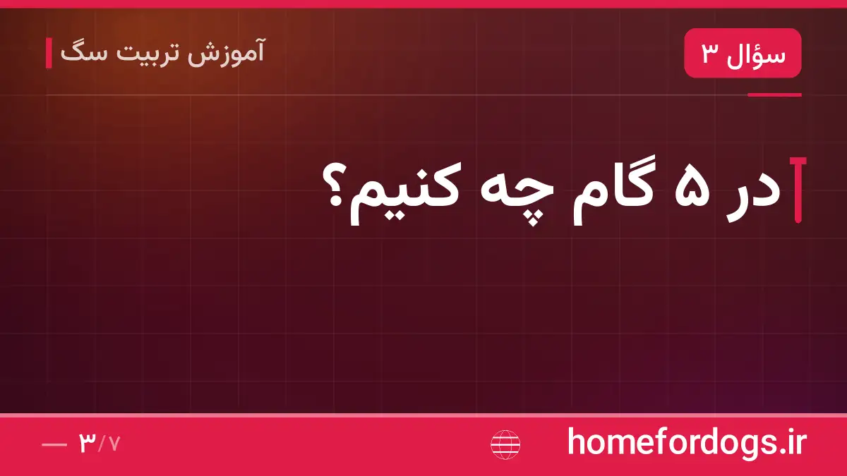 در ۵ گام چه کنیم؟
