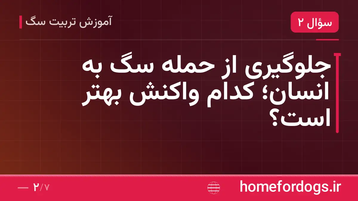 جلوگیری از حمله سگ به انسان؛ کدام واکنش بهتر است؟