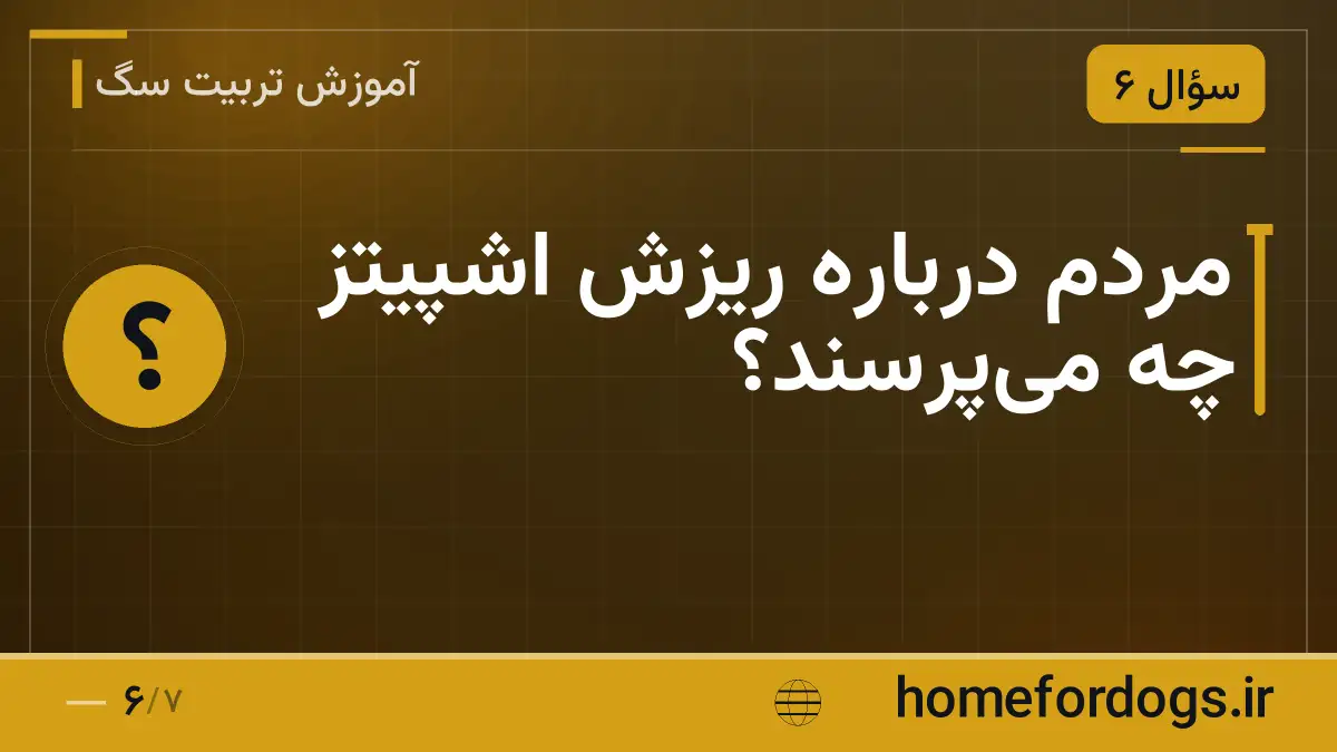 مردم درباره ریزش اشپیتز چه میپرسند؟