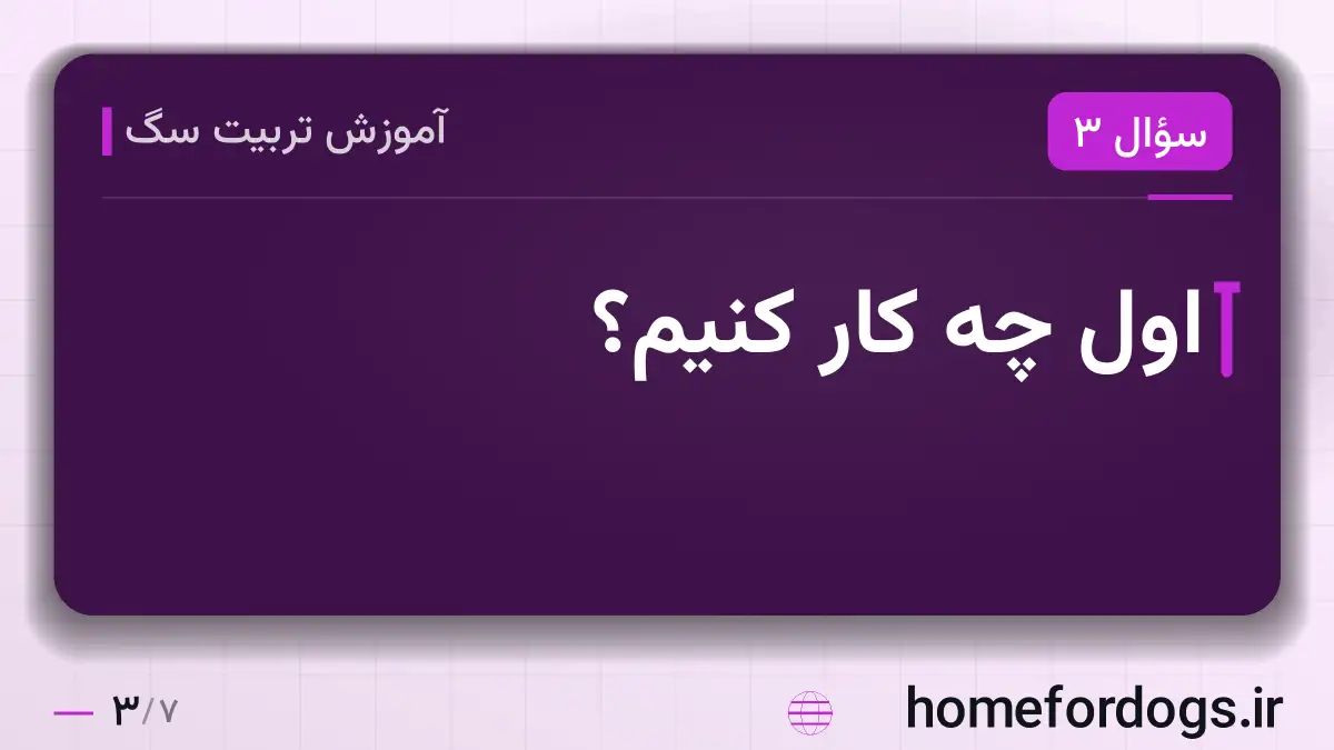اول چه کار کنیم؟