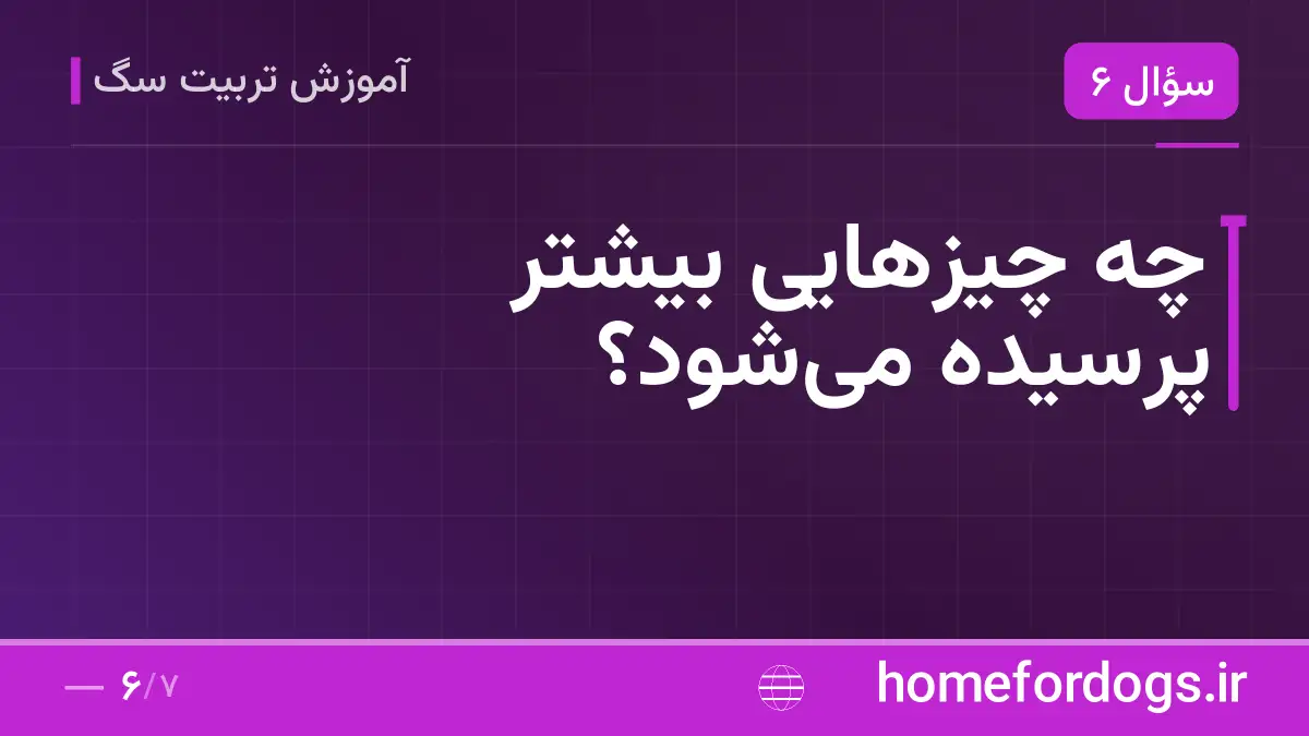 چه چیزهایی بیشتر پرسیده می‌شود؟