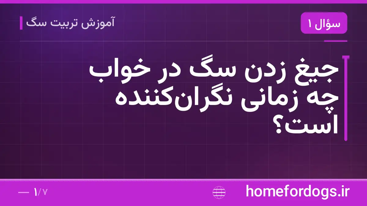 جیغ زدن سگ در خواب چه زمانی نگران‌کننده است؟