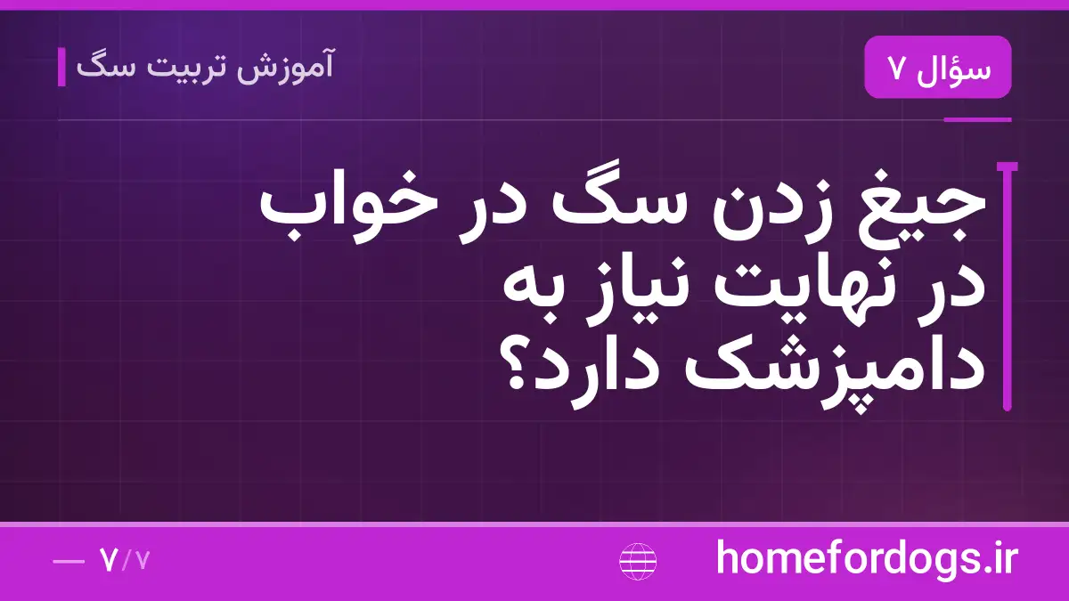 جیغ زدن سگ در خواب در نهایت نیاز به دامپزشک دارد؟