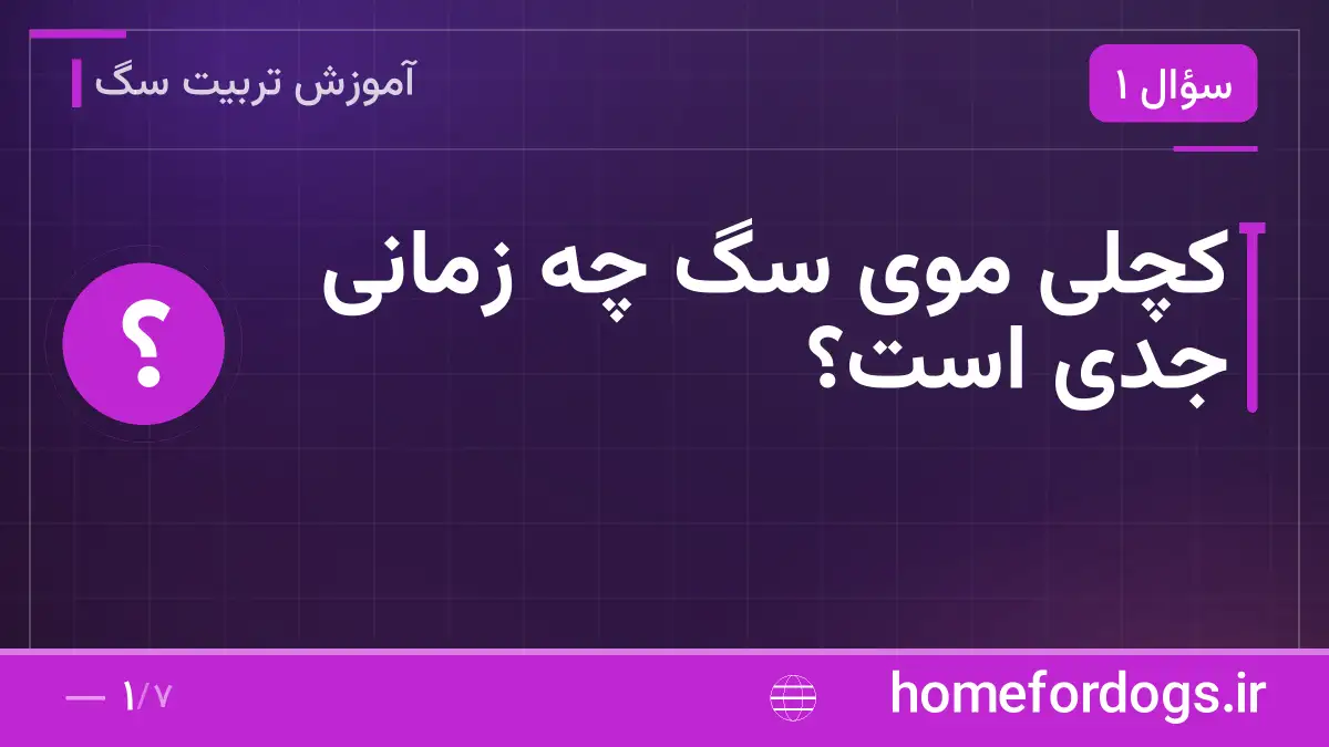 کچلی موی سگ چه زمانی جدی است؟