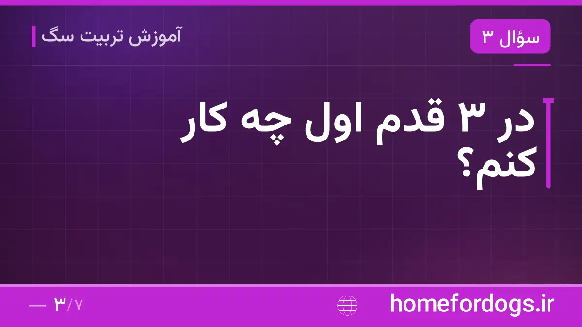 در ۳ قدم اول چه کار کنم؟