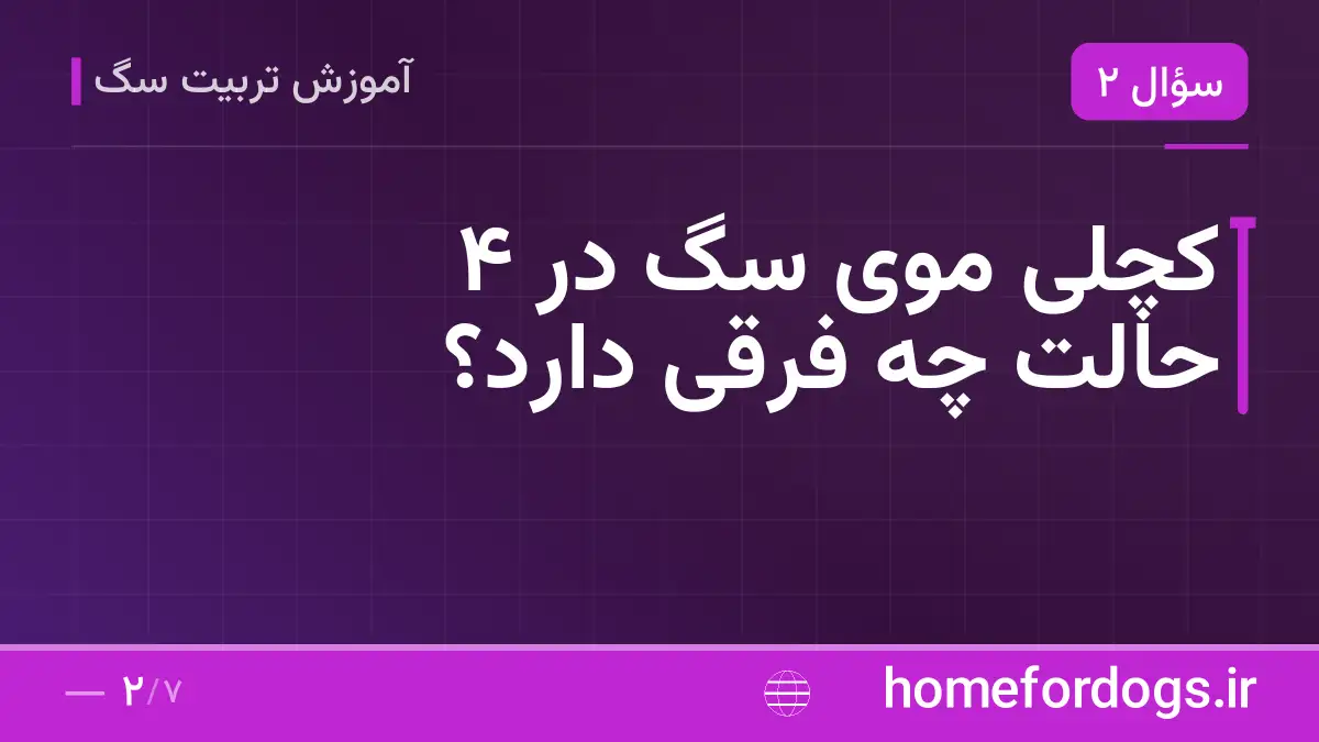 کچلی موی سگ در ۴ حالت چه فرقی دارد؟