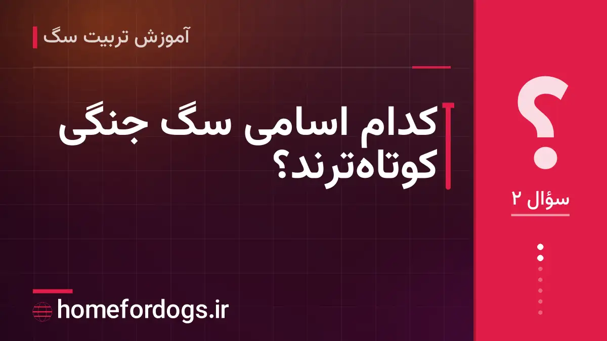 کدام اسامی سگ جنگی کوتاه‌ترند؟