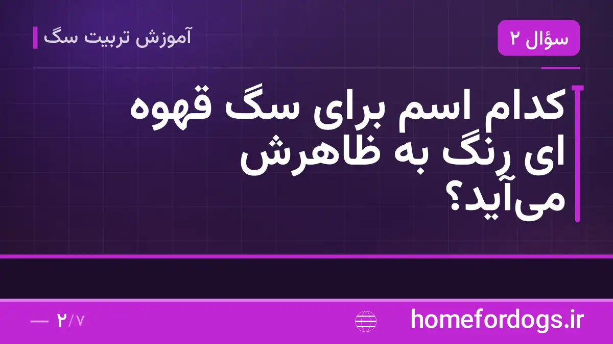 کدام اسم برای سگ قهوه ای رنگ به ظاهرش می‌آید؟