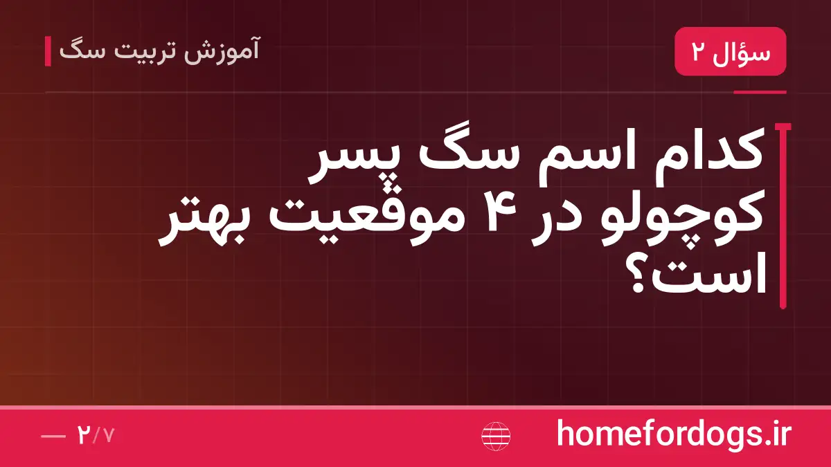 کدام اسم سگ پسر کوچولو در ۴ موقعیت بهتر است؟