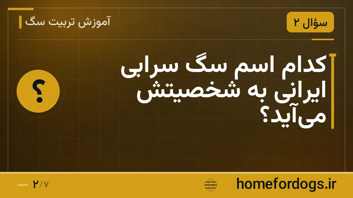 کدام اسم سگ سرابی ایرانی به شخصیتش میآید؟