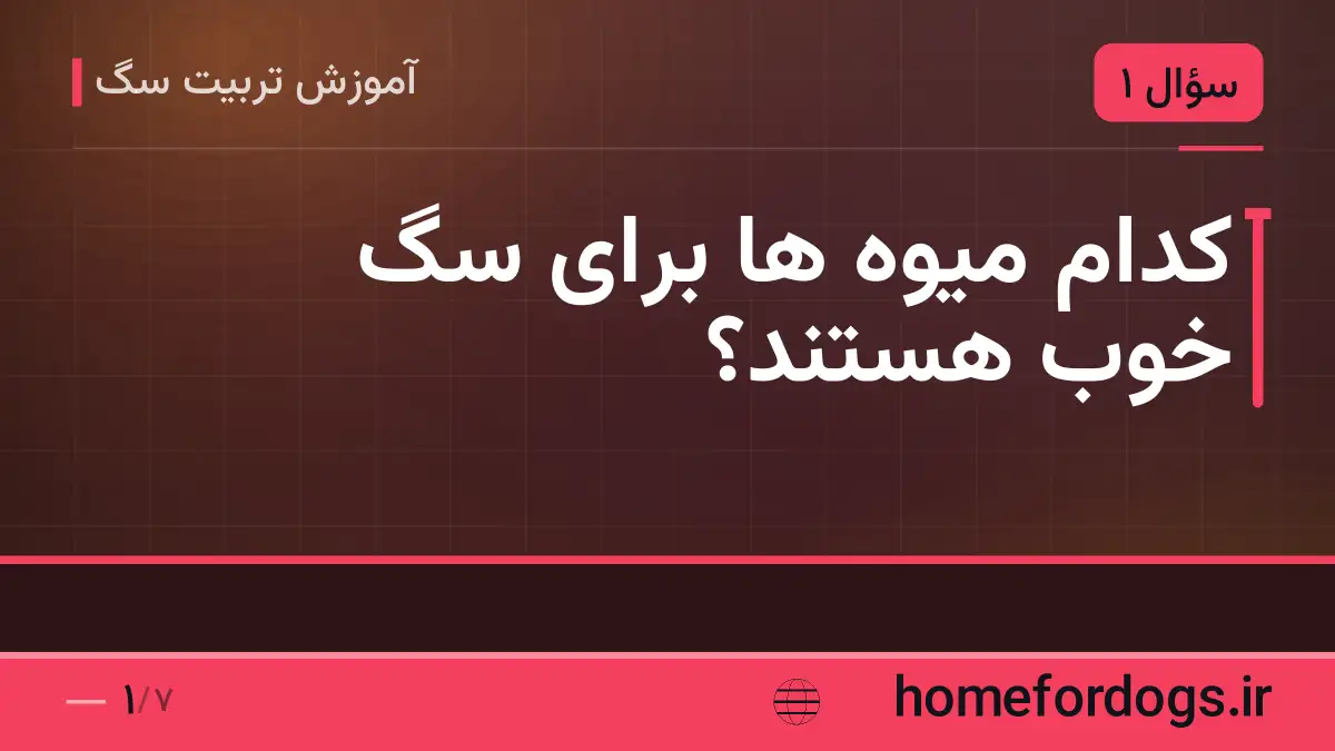کدام میوه ها برای سگ خوب هستند؟