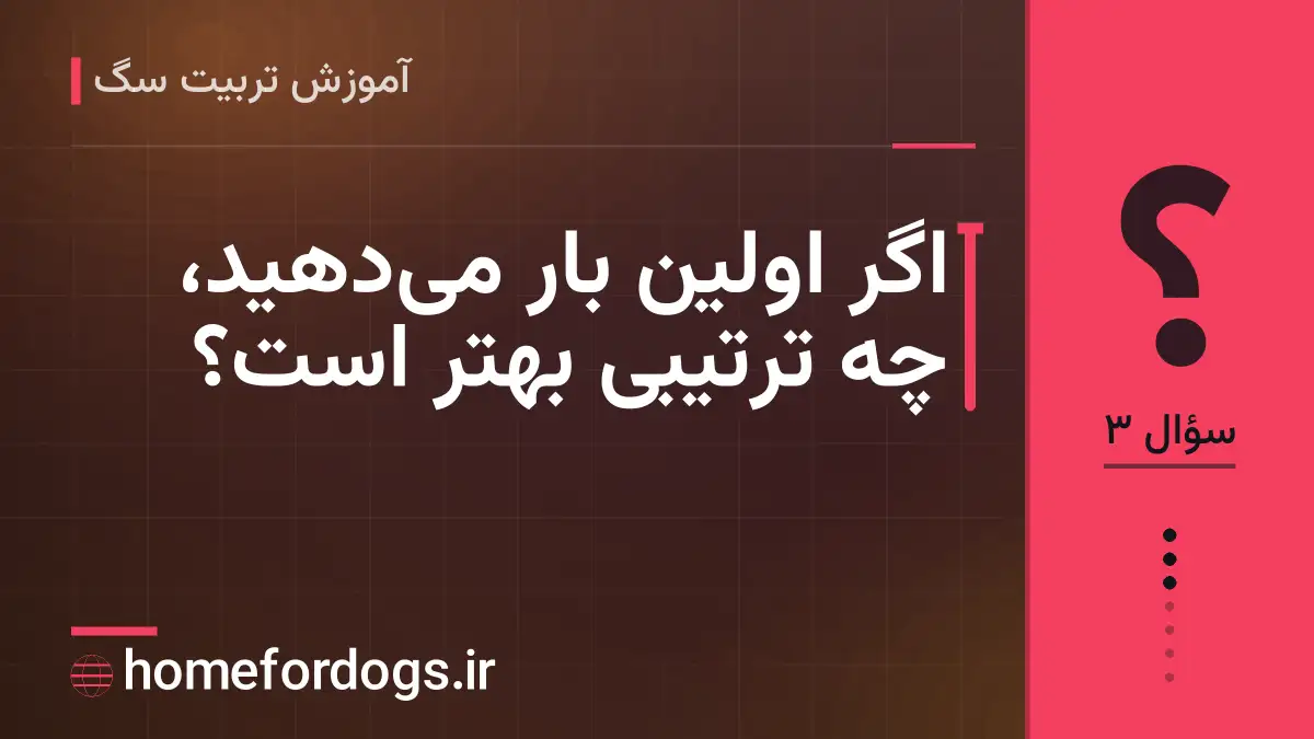 اگر اولین بار می‌دهید، چه ترتیبی بهتر است؟