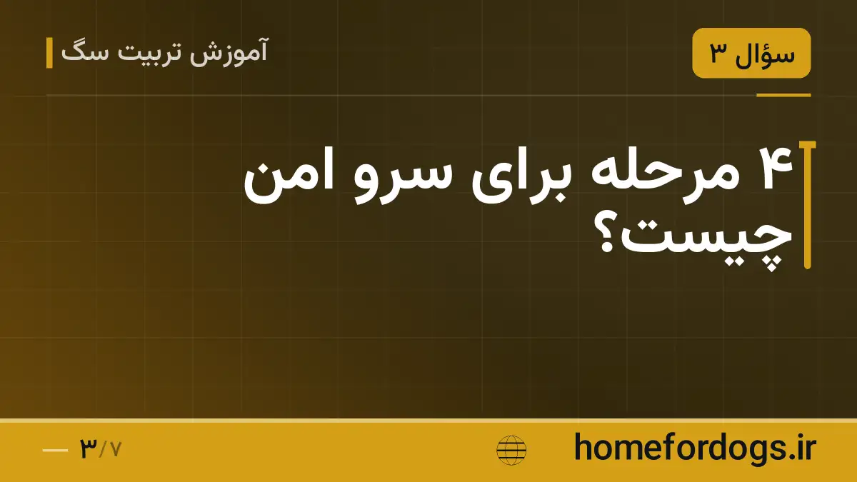 ۴ مرحله برای سرو امن چیست؟