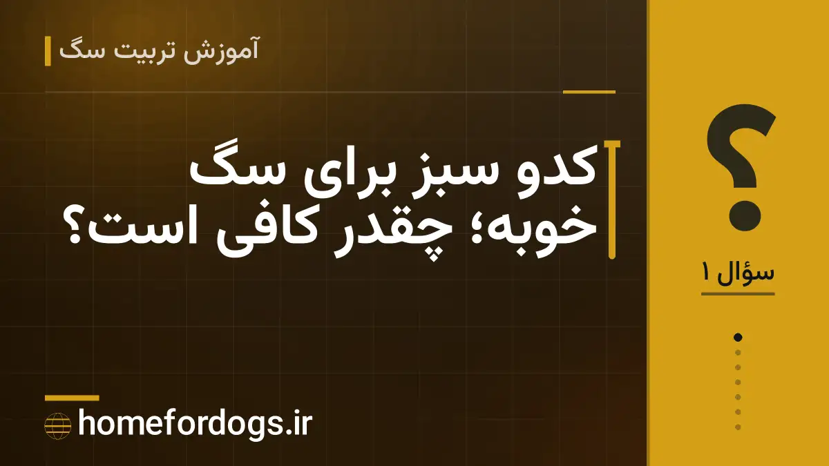 کدو سبز برای سگ خوبه؛ چقدر کافی است؟