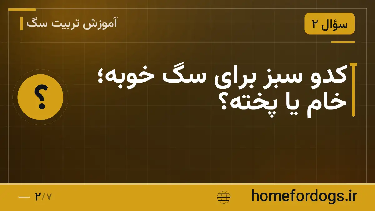 کدو سبز برای سگ خوبه؛ خام یا پخته؟