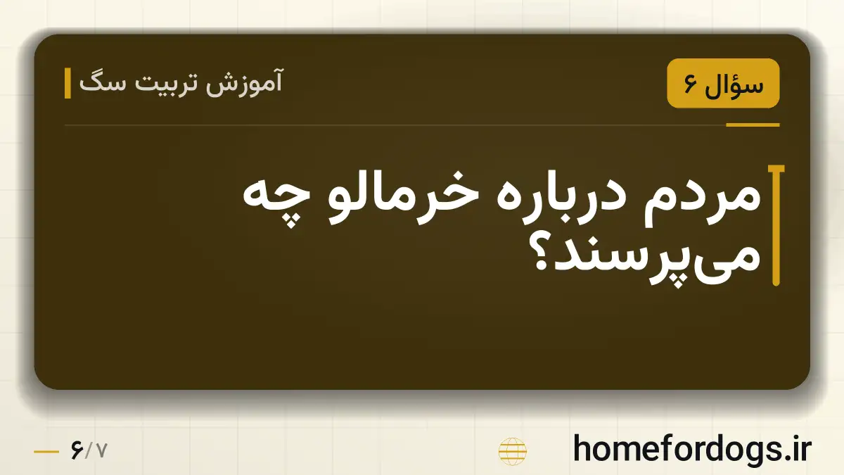 مردم درباره خرمالو چه می‌پرسند؟
