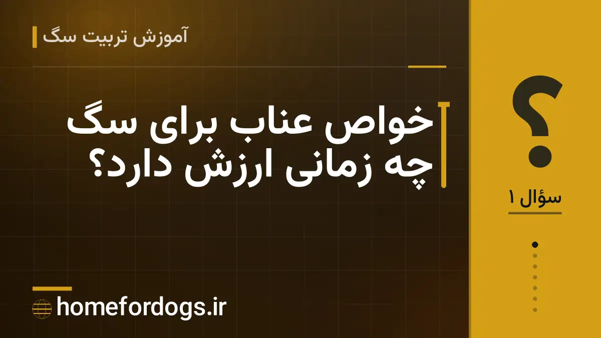 خواص عناب برای سگ چه زمانی ارزش دارد؟