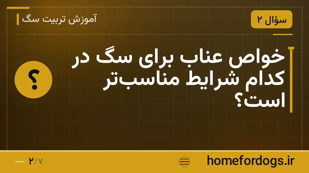 خواص عناب برای سگ در کدام شرایط مناسبتر است؟