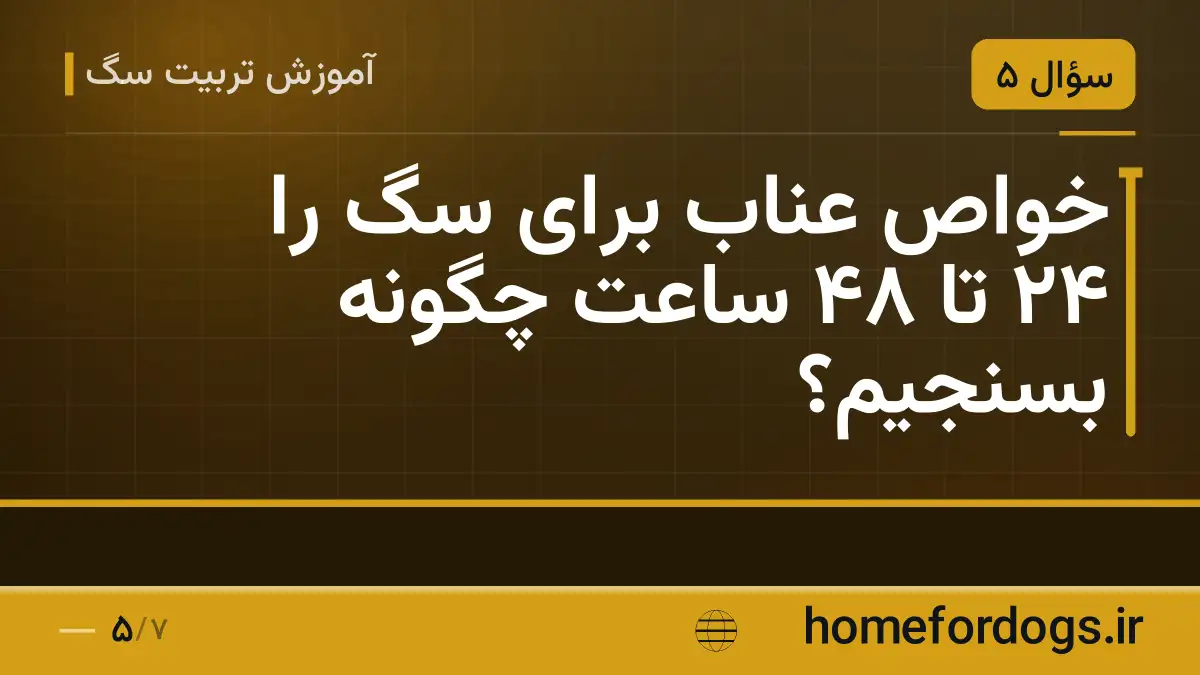 خواص عناب برای سگ را ۲۴ تا ۴۸ ساعت چگونه بسنجیم؟