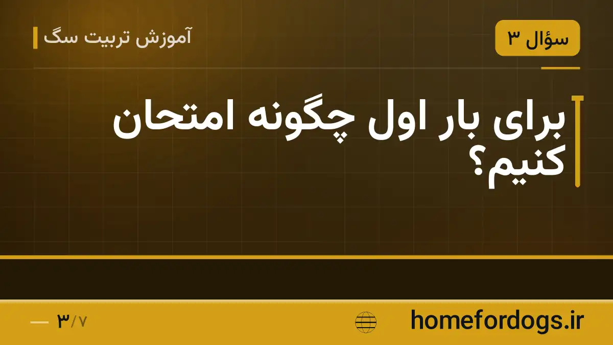 برای بار اول چگونه امتحان کنیم؟