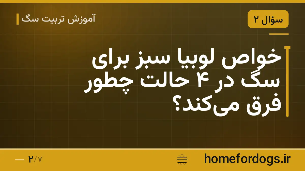 خواص لوبیا سبز برای سگ در ۴ حالت چطور فرق میکند؟