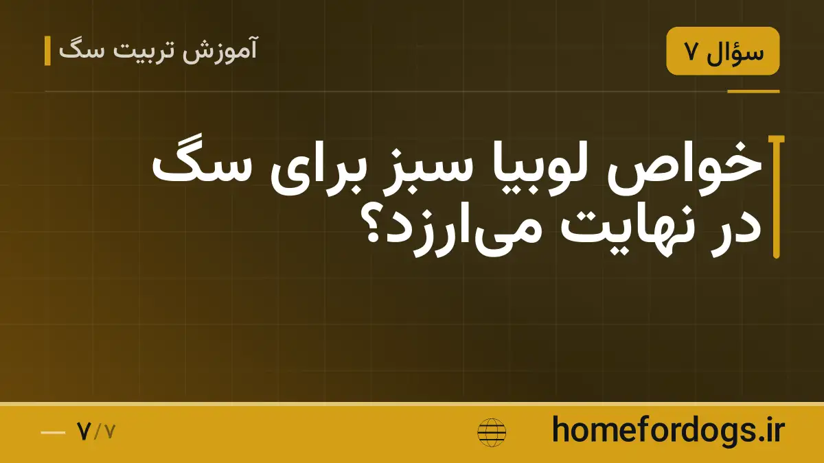 خواص لوبیا سبز برای سگ در نهایت میارزد؟