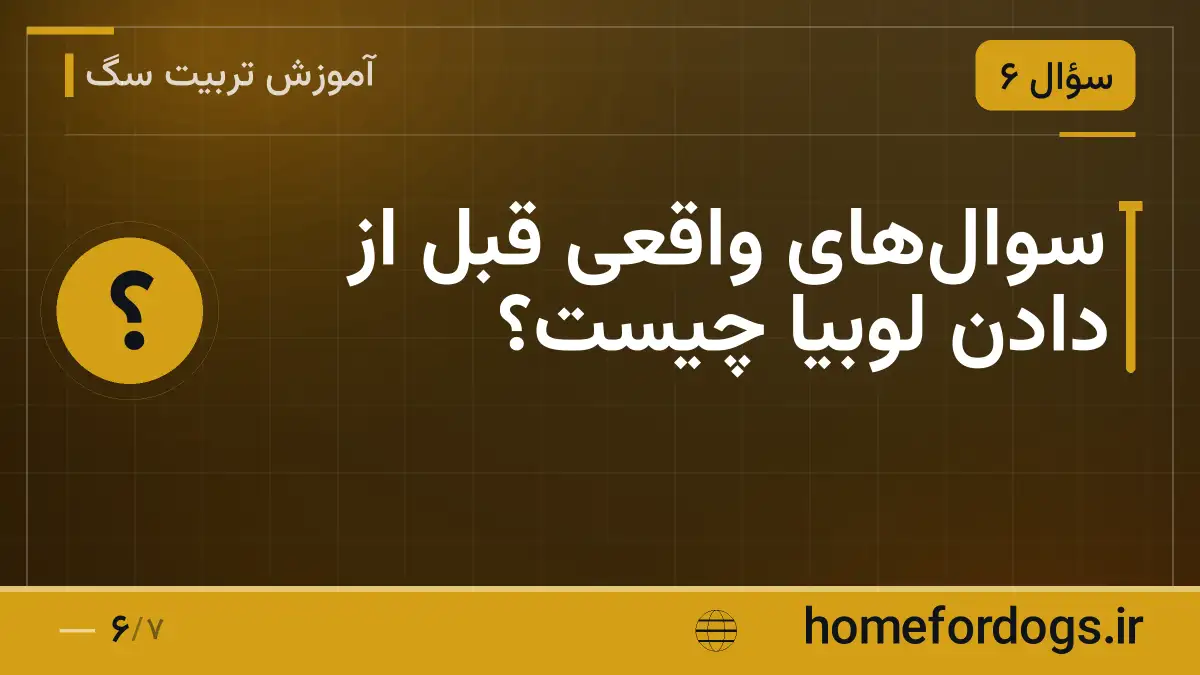 سوالهای واقعی قبل از دادن لوبیا چیست؟