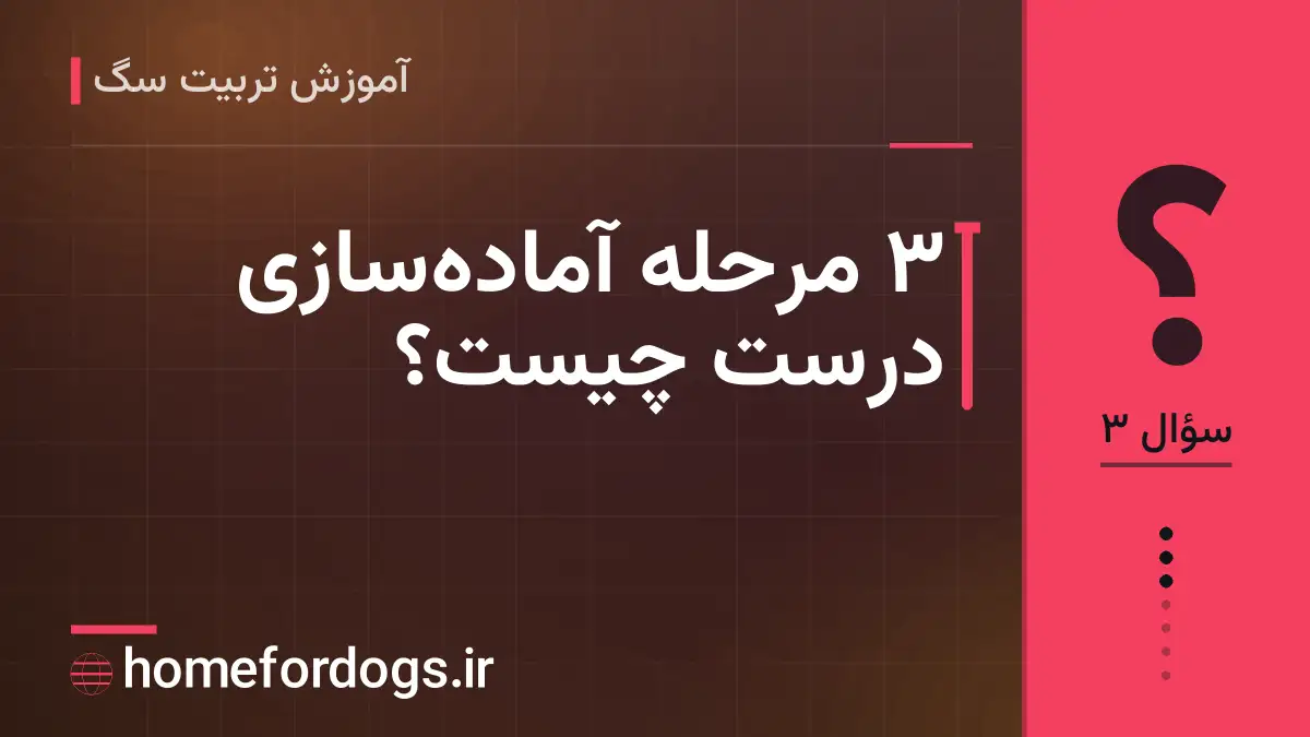 ۳ مرحلهٔ آمادهسازی درست چیست؟
